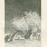 Popioły, T.1., 1928, rys. Edmunda Bartłomiejczyka