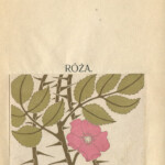 Róża / Józef Katerla, 1909, egz. z księgozbioru Juliana Stawińskiego z marką ochronną: rys. A. Półtawskiego z numerem 455 i inicjałami pseudonimu Stefana Żeromskiego: JK